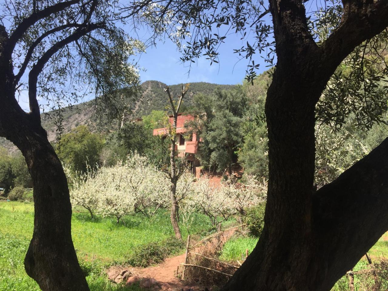 Hotel Chez Yahia, Au coeur de L'Ourika Extérieur photo